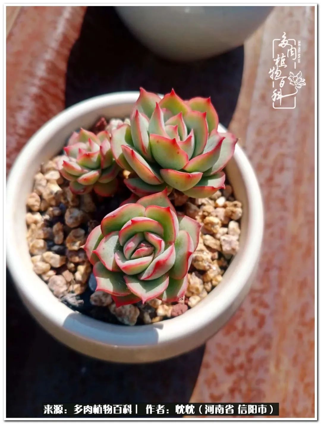 携一人白首择一城终老心之向往,携一人之手择一城终老图片