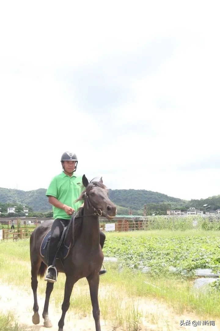 音乐潮玩市集白云公园站,潮玩街区音乐集市仁寿