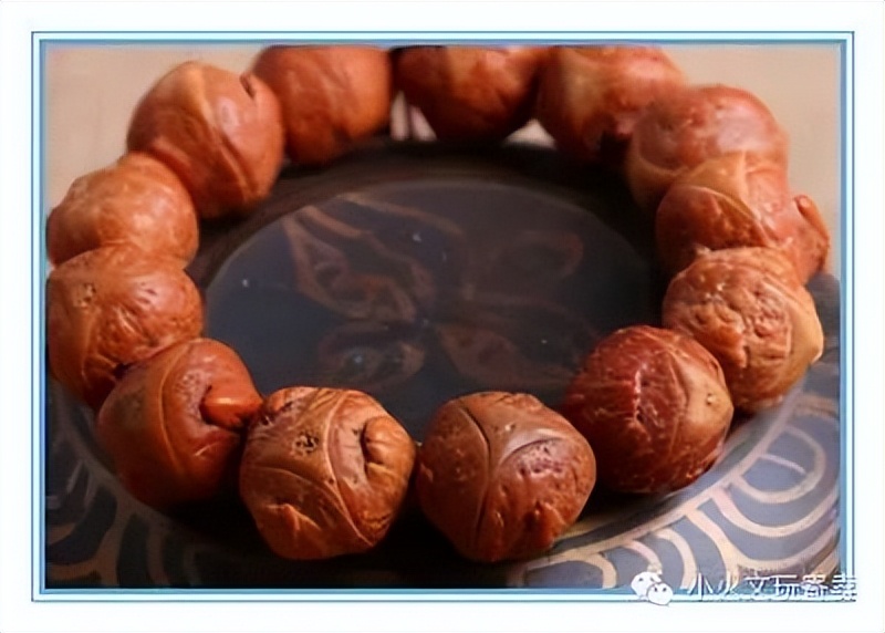 凤眼菩提最好的盘玩方法,多大的凤眼菩提最好