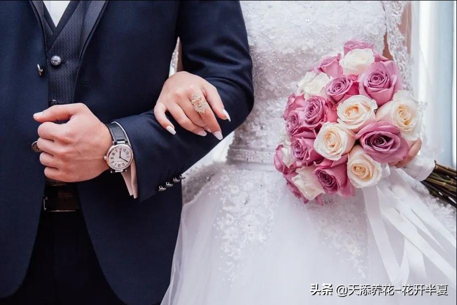 18朵粉色玫瑰花代表什么含义,5朵玫瑰花的寓意和花语是什么