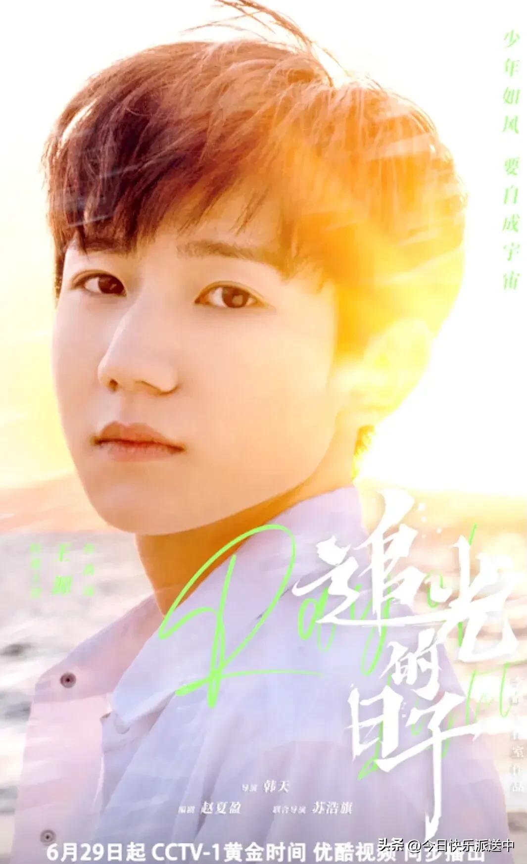 美醉了的月季花图片,各种颜色的月季花图片