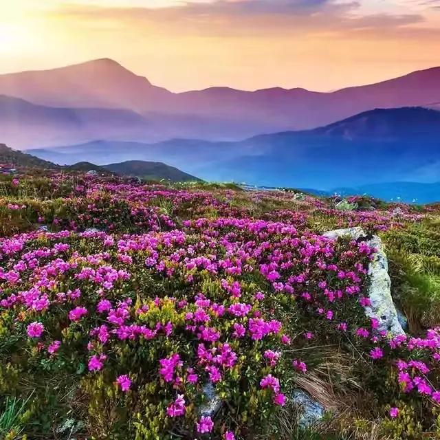 云南避暑旅游好去处推荐,云南避暑有哪些景点好玩