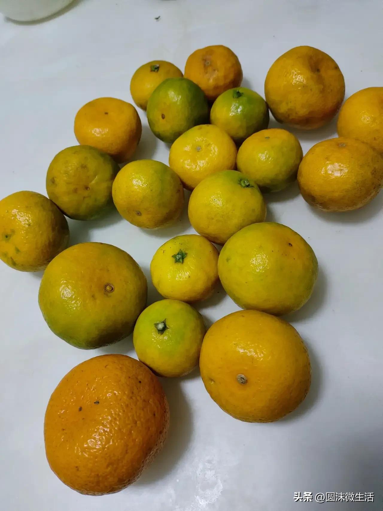 低价背后都是陷阱,低价偷工减料