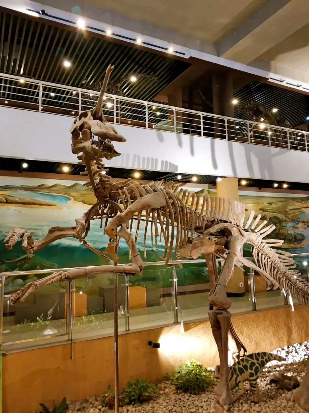 中国十大恐龙图鉴,100种恐龙名字图鉴图文