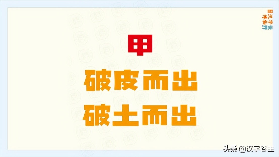 姹夊瓧妞嶇墿,鑽夋湪姹夊瓧