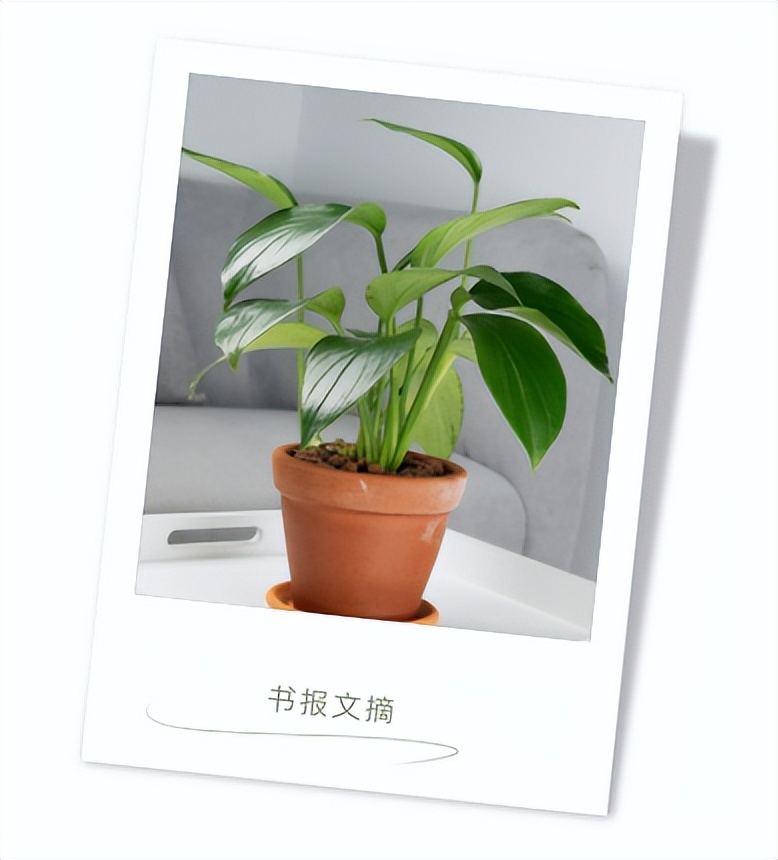 秋天的幸福,秋天让你幸福的16件小事