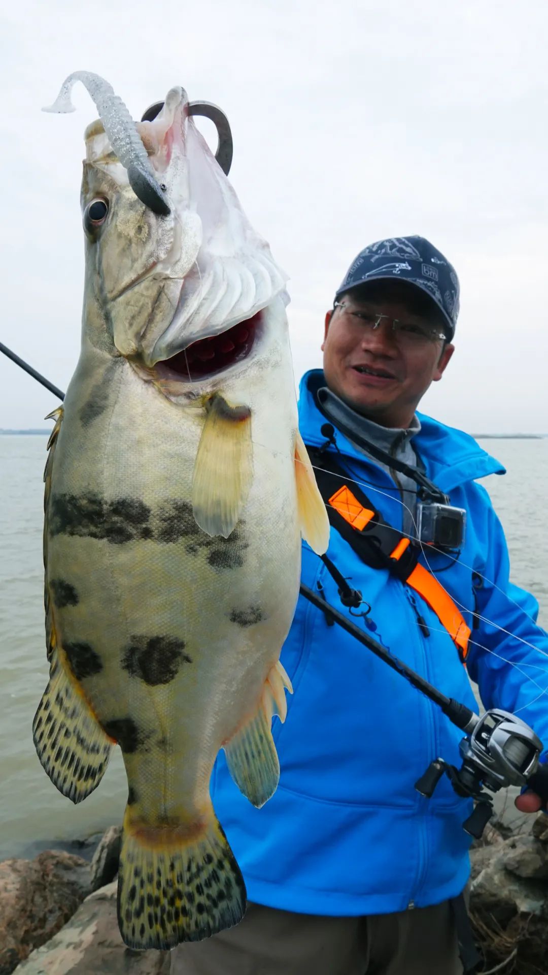 干货|野心实战摸石头跳鳜，带线控饵下沉是什么操控？