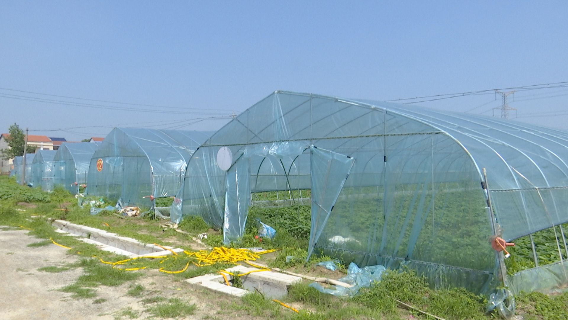 盘活闲置农房推进乡村振兴,盘活土地资源助推乡村振兴