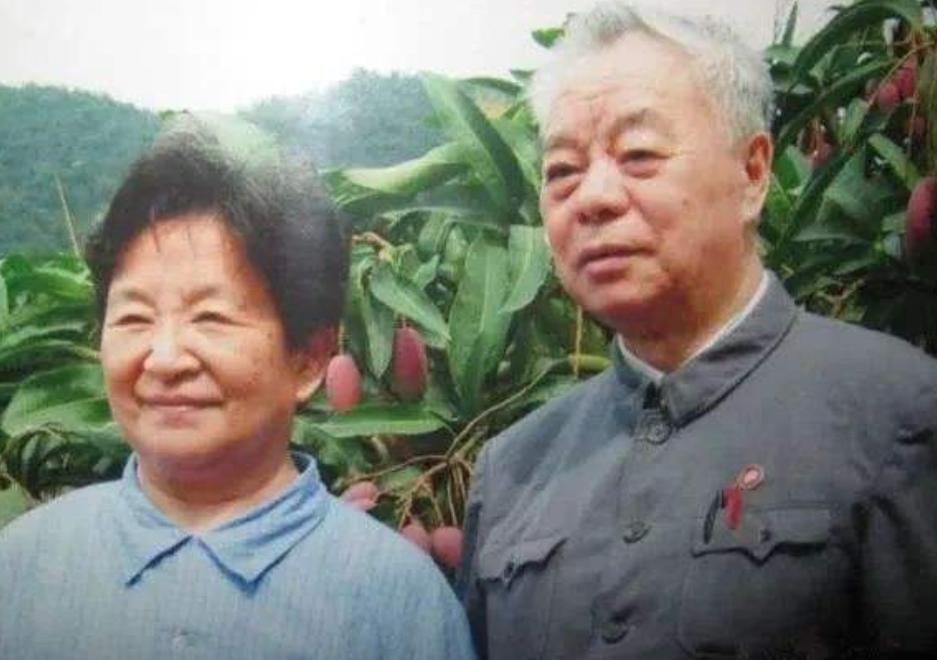 海南发现一山头长得像毛主席,孔令华跪地流泪,李讷也都感叹很像