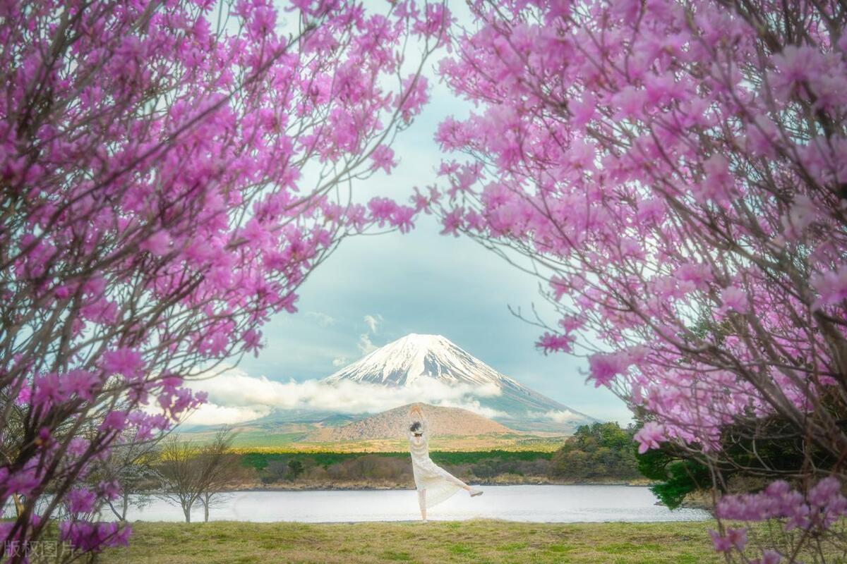 各类“门事件”，吃瓜吃到撑