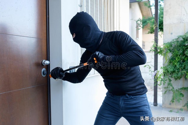 国有国徽，校有校徽，厂有厂徽。奇怪吗？我家竟然有家徽