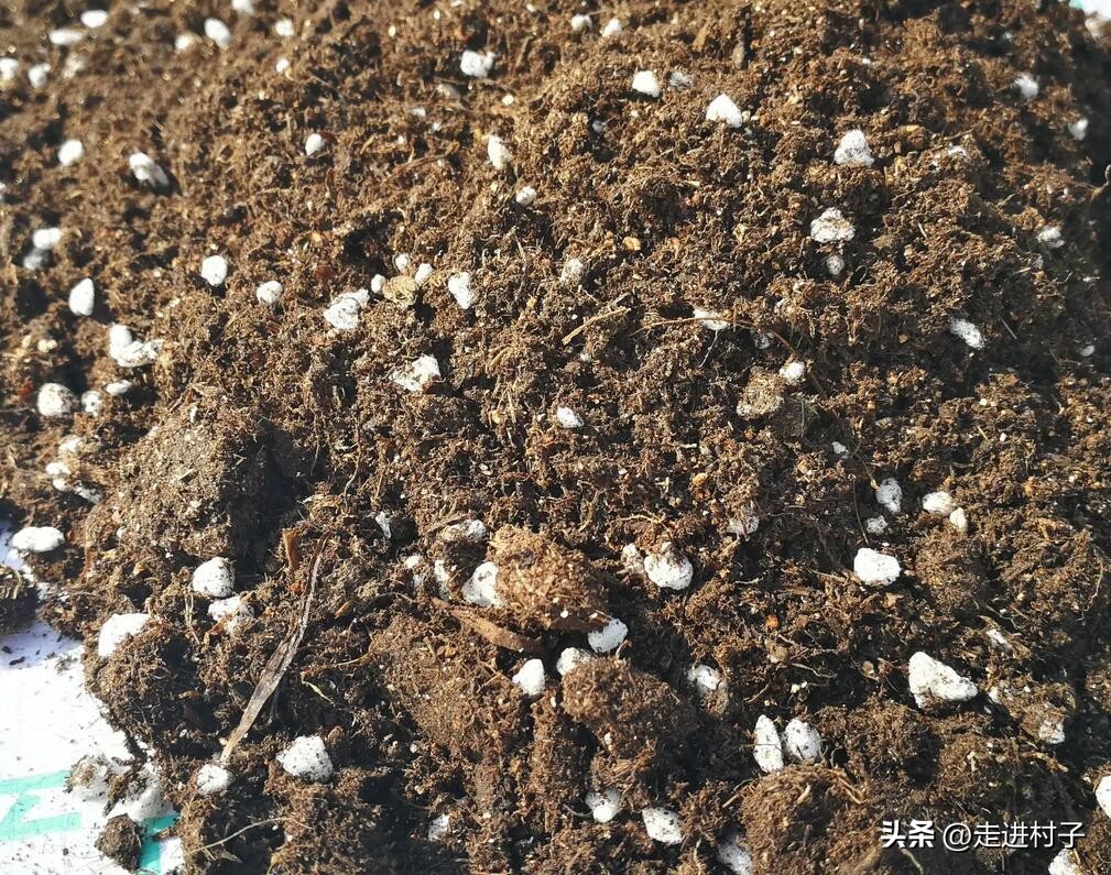 种菜营养土怎么制作,种菜营养土的做法