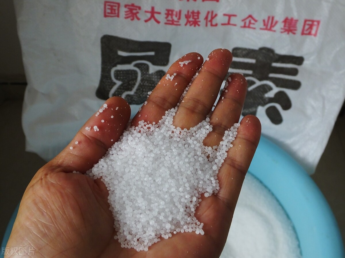 春耕备肥复合肥价格趋势,明年小麦玉米种子价格