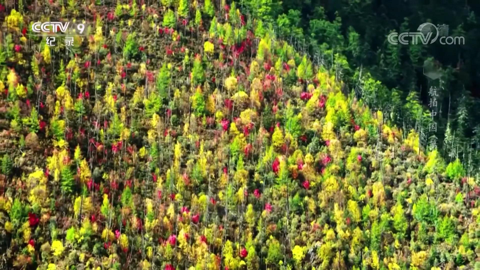 航拍中国第三季四川完整版,航拍中国四川篇视频