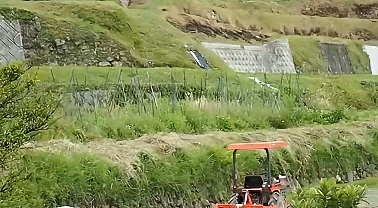 吉林农妇好心收养毒蛇,吉林农夫好心救了一条毒蛇