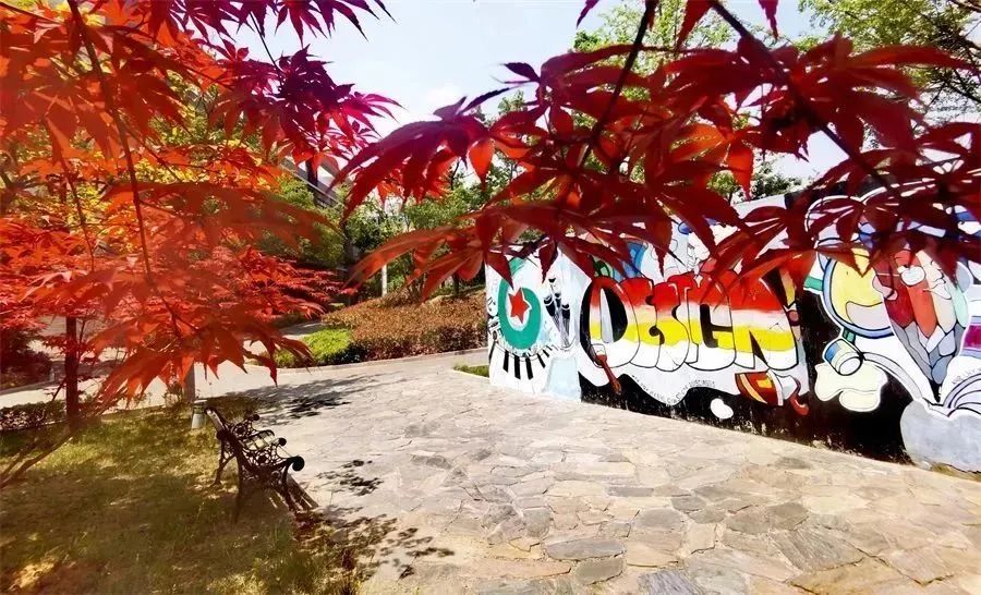 山东省青岛第六中学,山东青岛第六中学