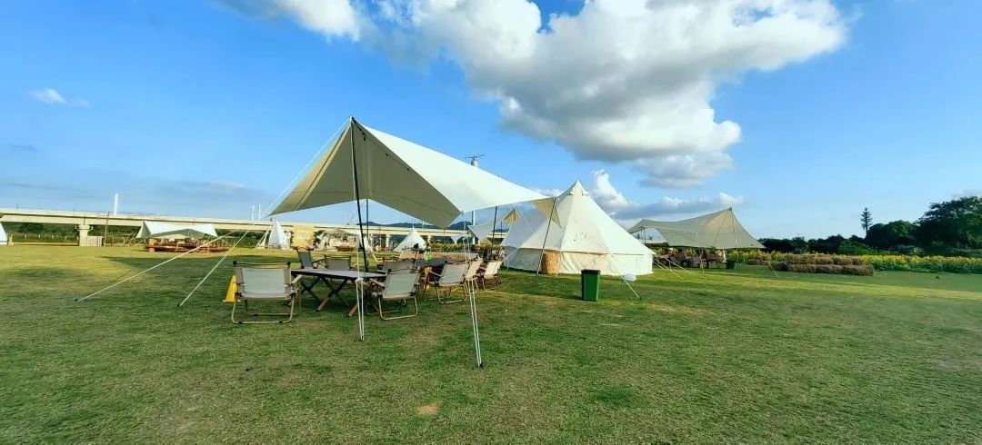 端午假期光明活动超精彩！音乐live、摘荔枝、包粽子……等你解锁！