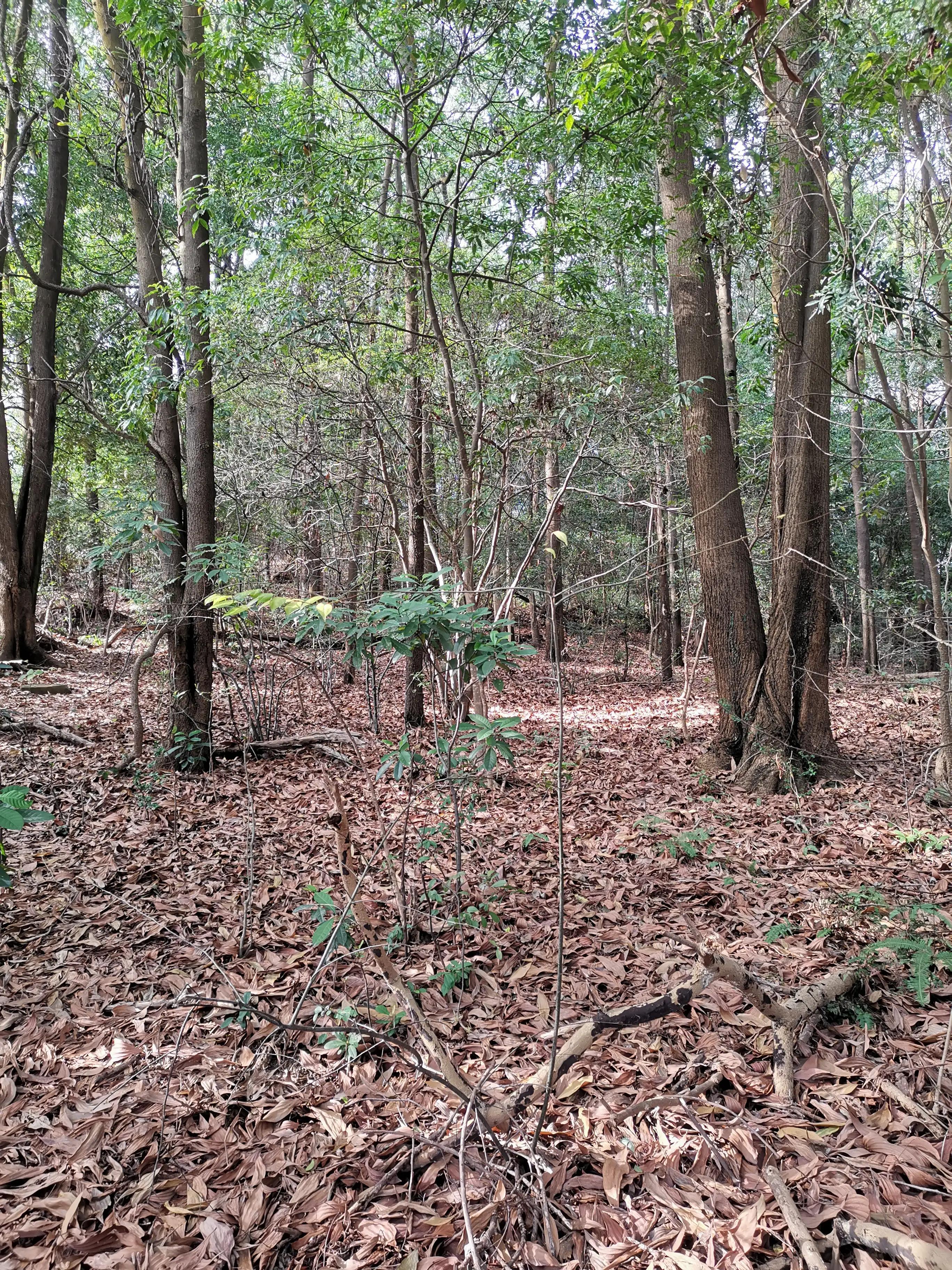 广州永和天坑爬上去要多久时间,天坑一日游攻略大全
