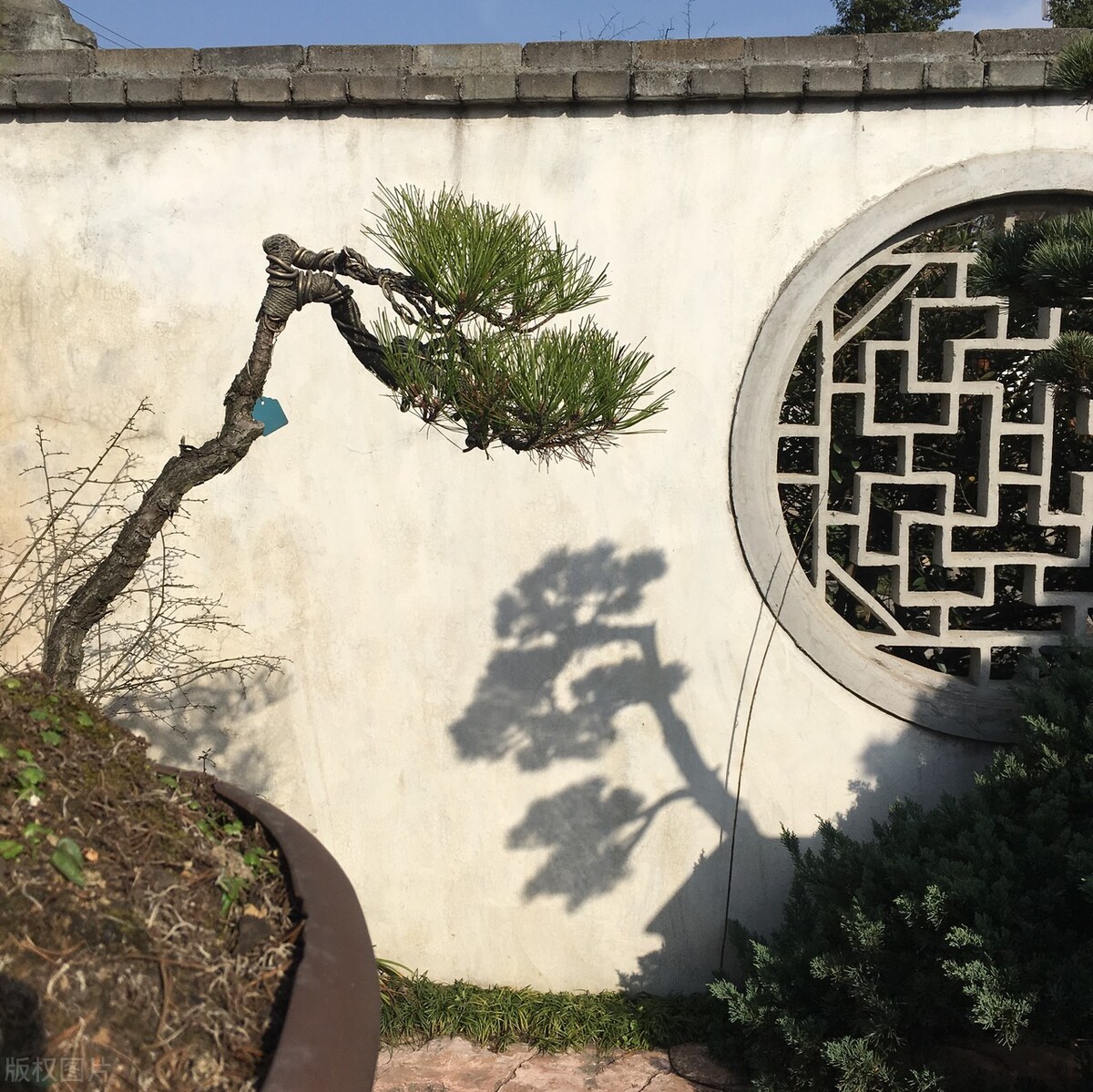 4.21：财会存货知多少