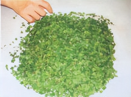 飞蚁防治小妙招,收获蚁怎样保产