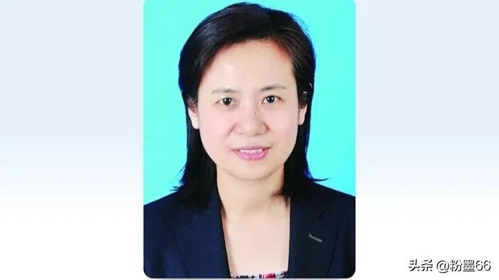 狂飙高启强与赵市长片段后续,湖北反腐最新公示潘启胜