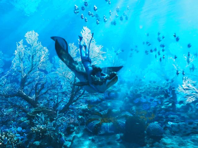 阿凡达2是赚了还是赔了,阿凡达二回顾