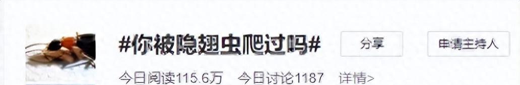 硫酸虫咬了怎么处理,硫酸虫导致皮肤损伤处理