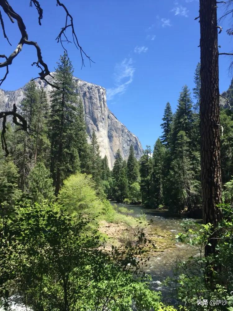 华裔美女赌神被人残忍*虐性**后活活烧死：2020年密歇根州神秘谋杀案