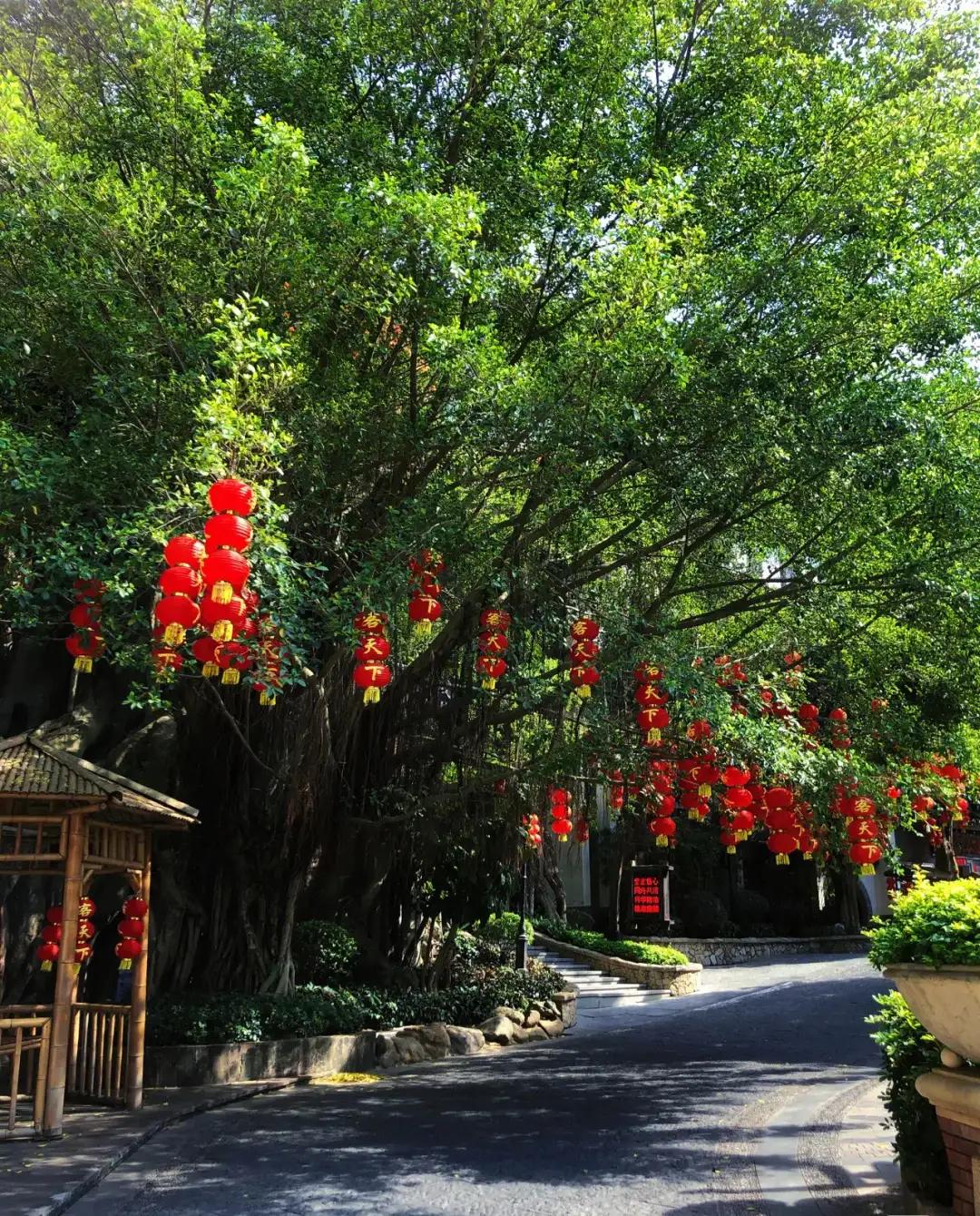 梅州世界客都,梅州世界客都文化