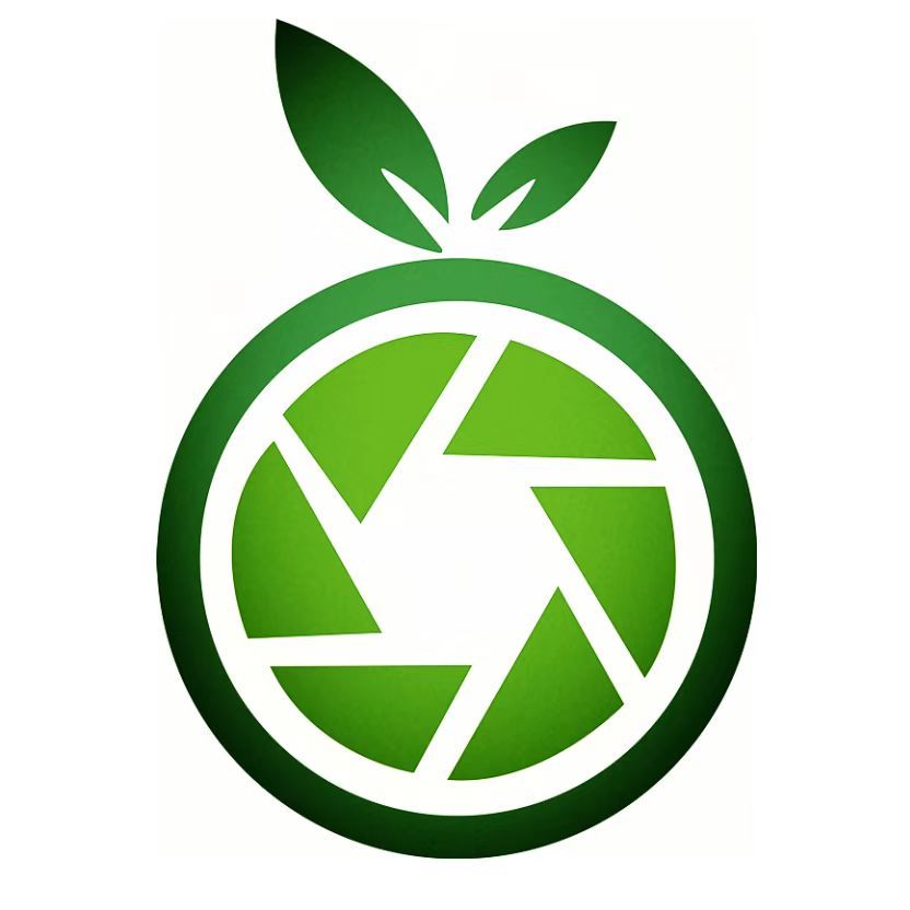 为什么拼夕夕店铺搜不到,为什么拼夕夕货更多