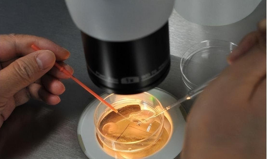 “五万一次，刺穿*体下**”？比*交性**易更可怕的是无*交性**易