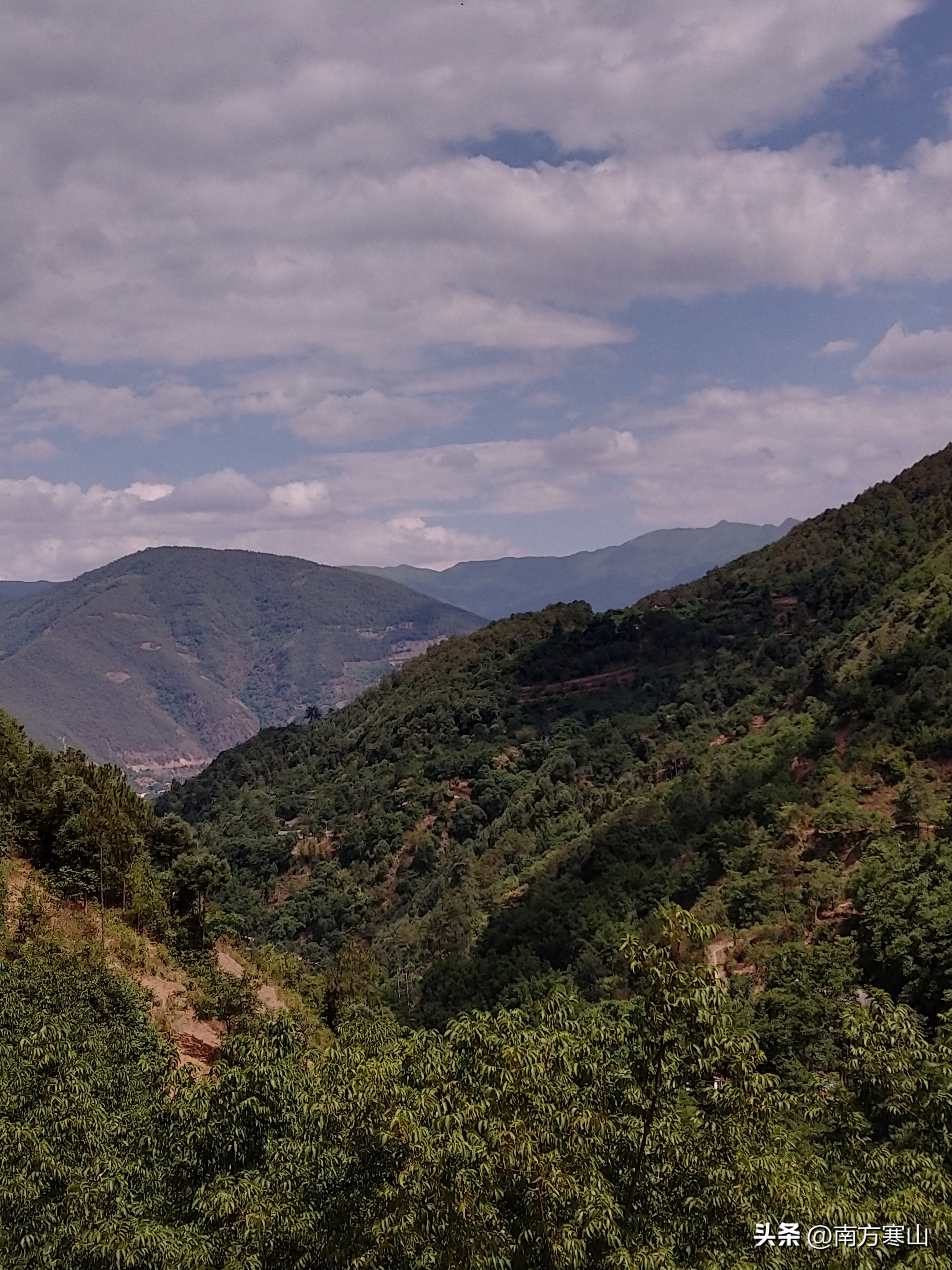 云南野生菌致幻品种,云南野生菌诗句