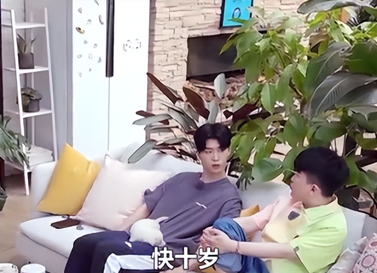 范丞丞被张大大夸,范丞丞怼张大大原视频