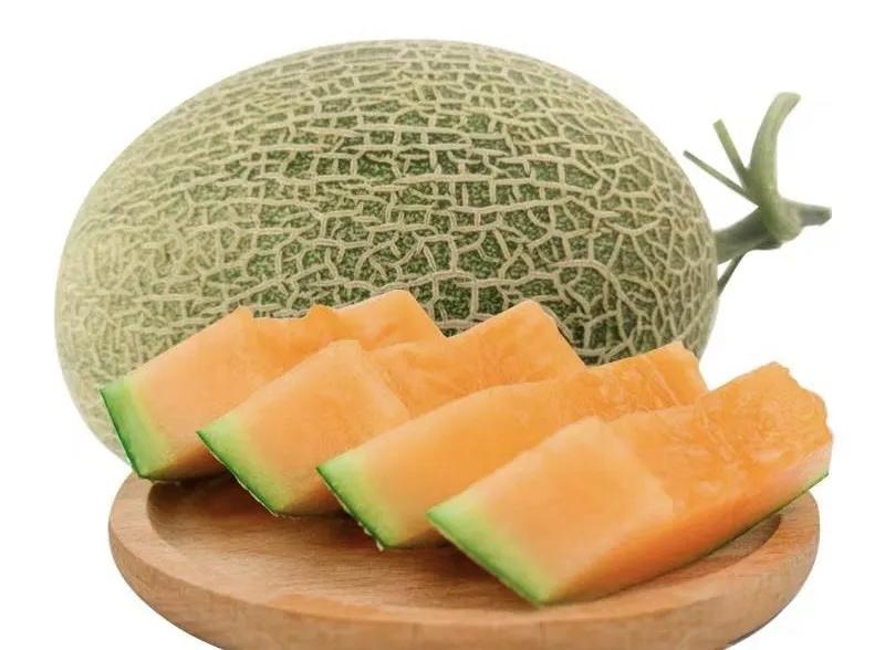 垂涎欲滴的瓜世界：瓜田李下说吃瓜，一片冰心香满园