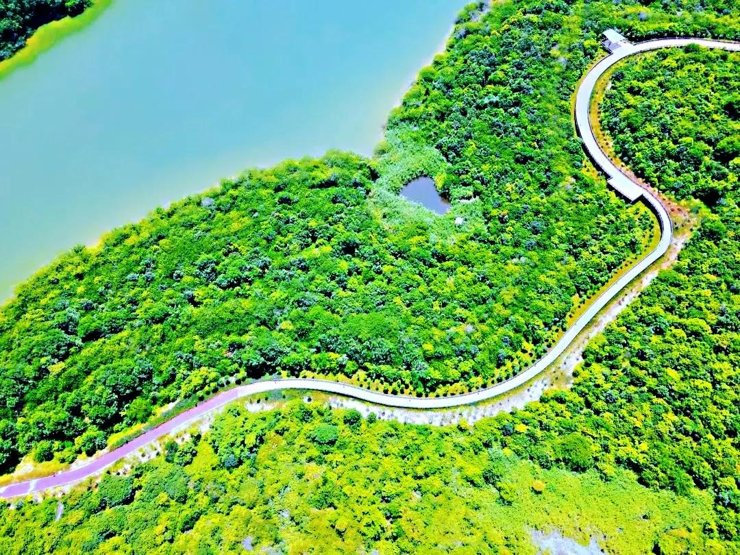 深圳环湖徒步,深圳环形绿道有哪条