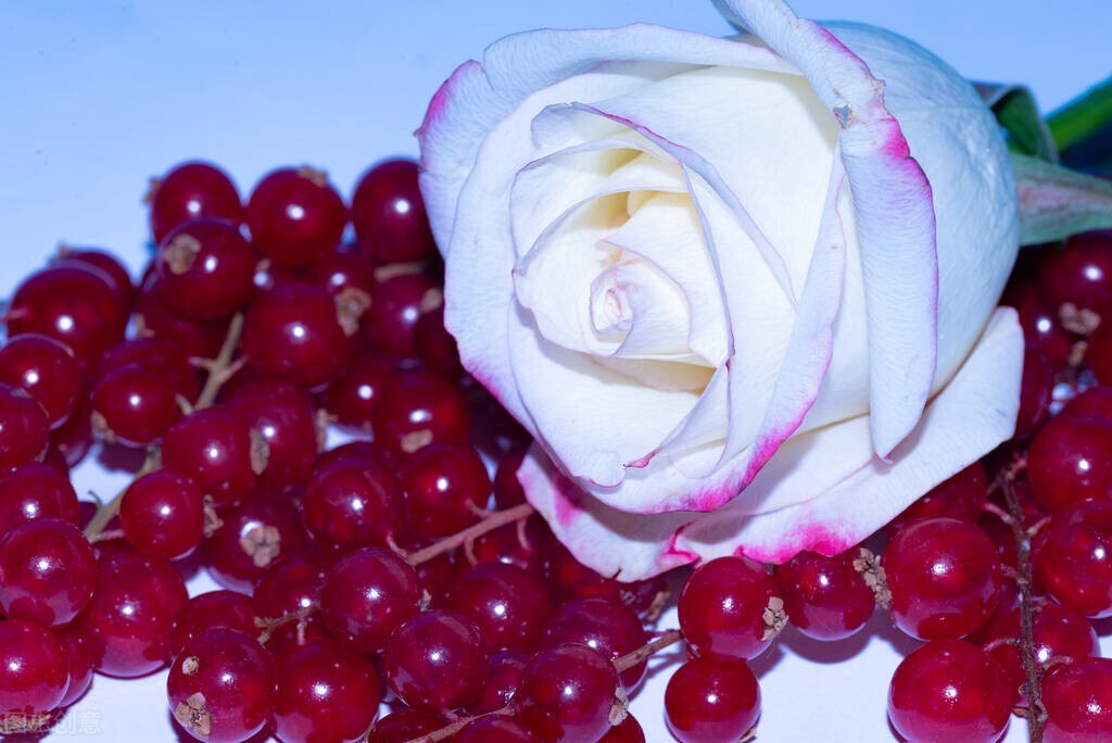 闺女上学谈恋爱怎么办,养女在家里没地位27岁不敢谈恋爱