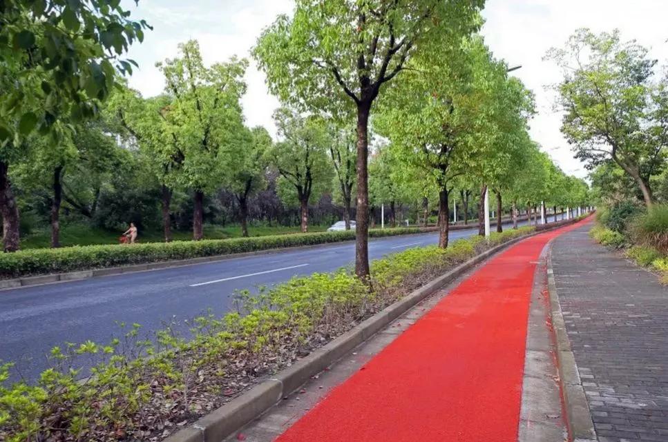 松江区佘山林荫新路,松江佘山林荫大道