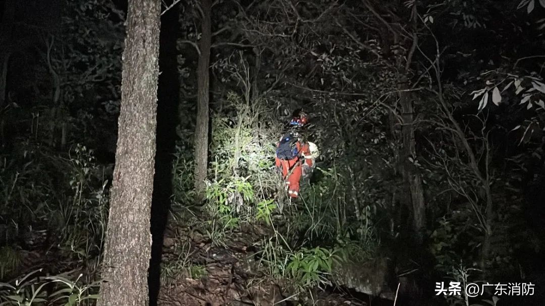 在深山老林捡菌子,夫妻深山捡菌子