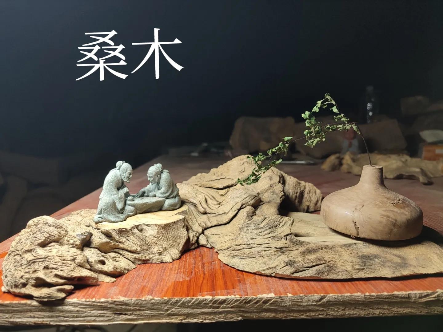 什么木头不生虫,什么木头不容易被虫咬