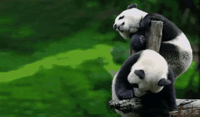 跟女网友奔现后感觉被骗了,被女网友骗了钱怎么办