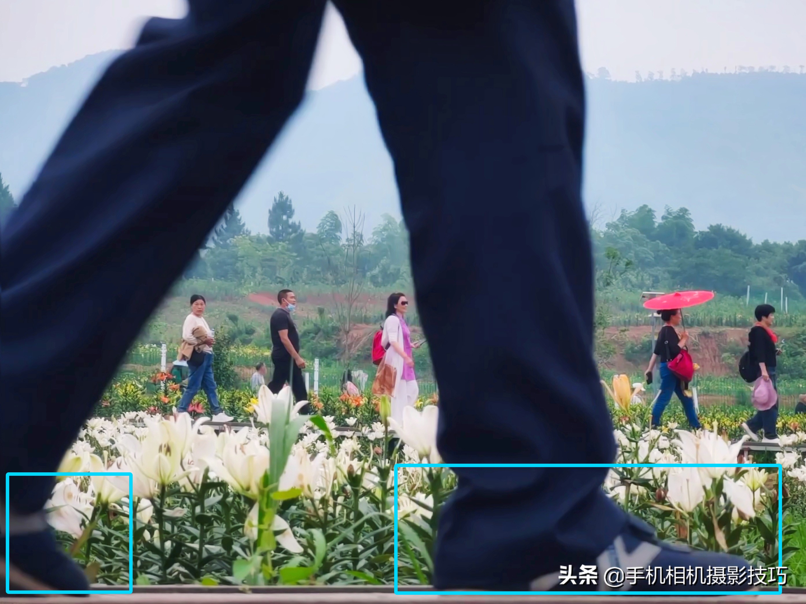 8个小技巧教你拍出高逼格的照片,教你四招如何拍出好看的照片