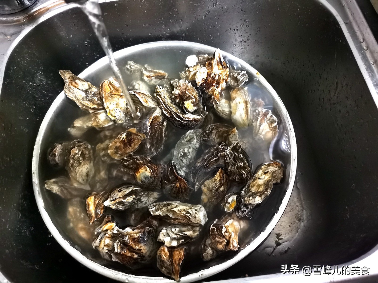 它是“天然锌硒库”10块钱一斤,贵点也要常吃,网友:烟台都在捡