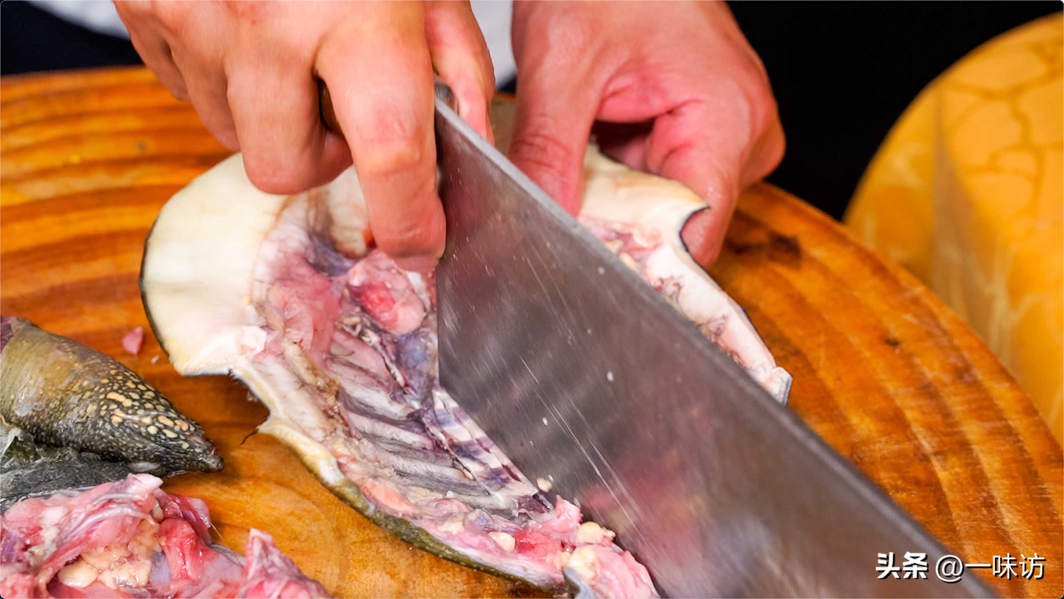 地摊麻辣甲鱼最正宗做法,甲鱼餐饮项目做法