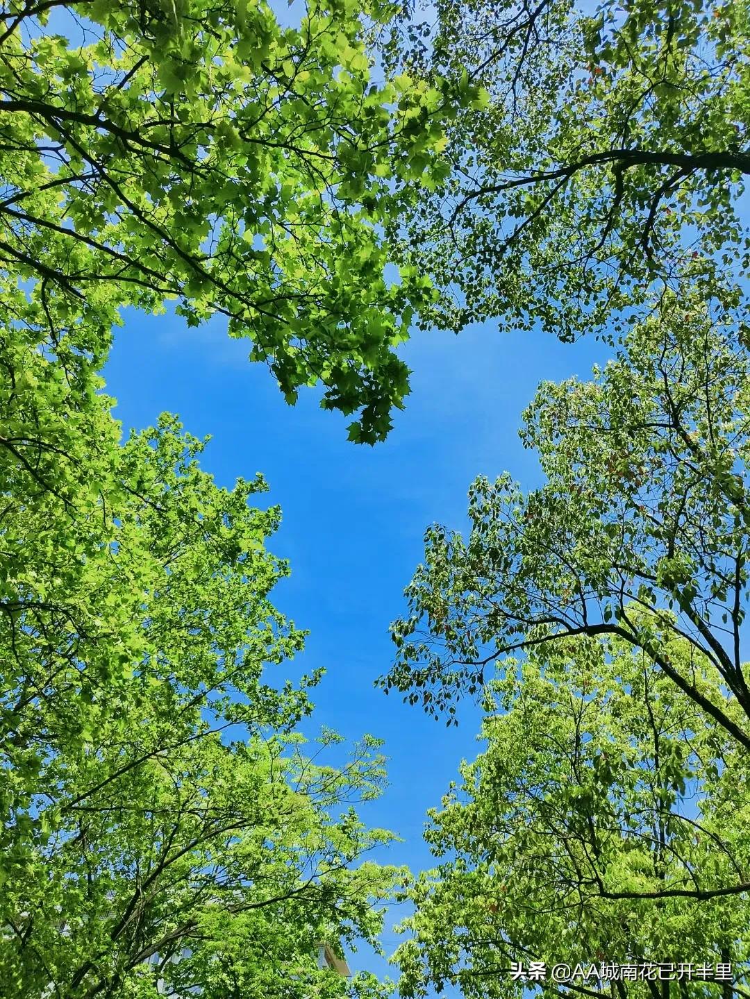 中国知网是纯独立外资，网友：我*载下**自己的论文还要付费