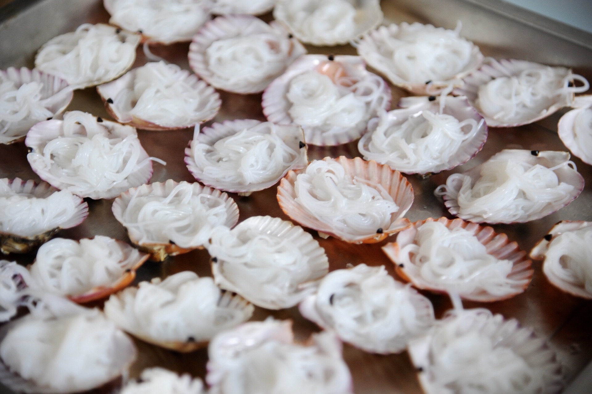 蒜蓉粉丝蒸扇贝好吃得不得了,蒜蓉粉丝蒸扇贝香辣爽口过瘾