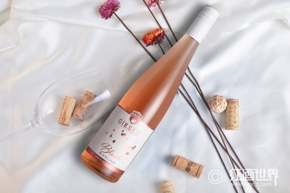 可以陈年的入门级葡萄酒,入门级智利黑皮诺葡萄酒