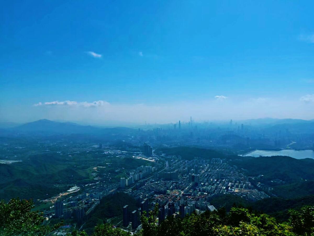 深圳的旅游景点哪些地方最好玩,深圳出发五一旅游景点推荐带孩子