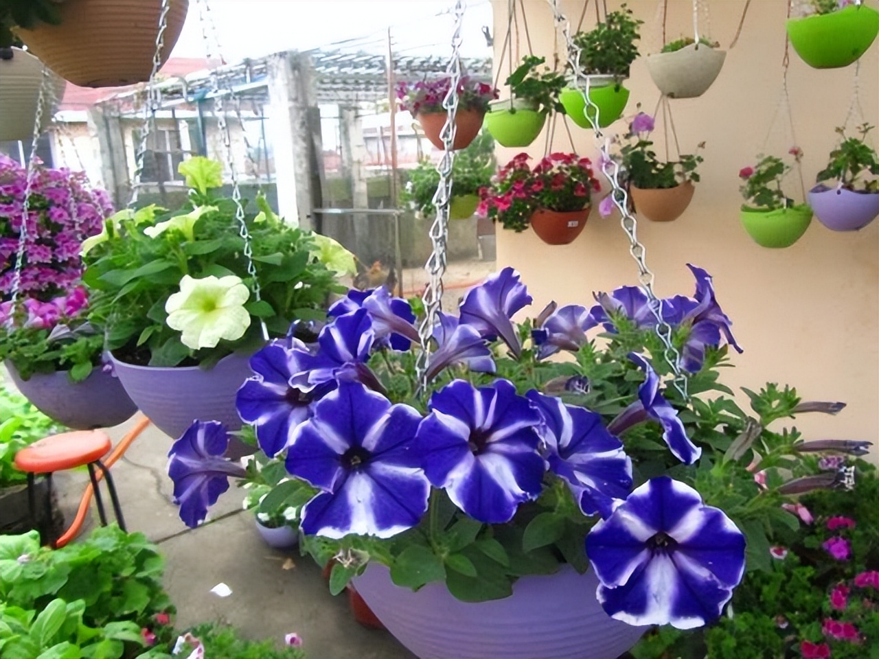 楼顶露台养花夏季怎么养,顶楼露台养花最佳方案