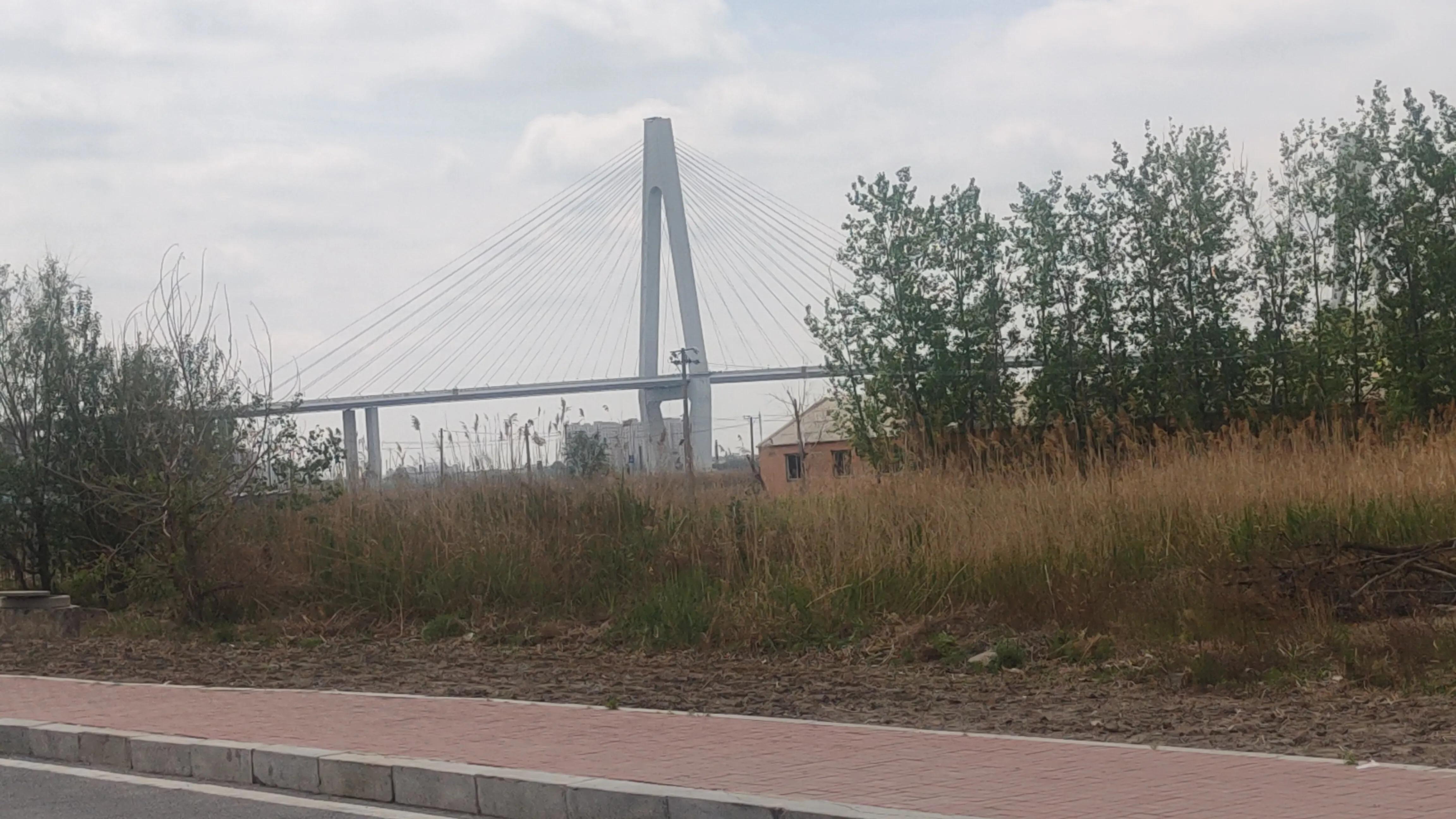 盘锦市向海大道,盘锦市向海大道起点