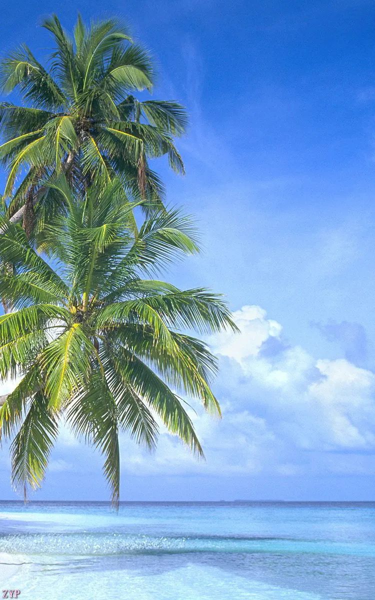 震撼眼球的绝美风景,世界震撼美景美图